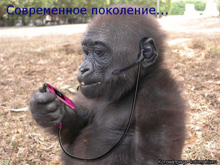 Современное поколение...... Котоматрица: Современное поколение...