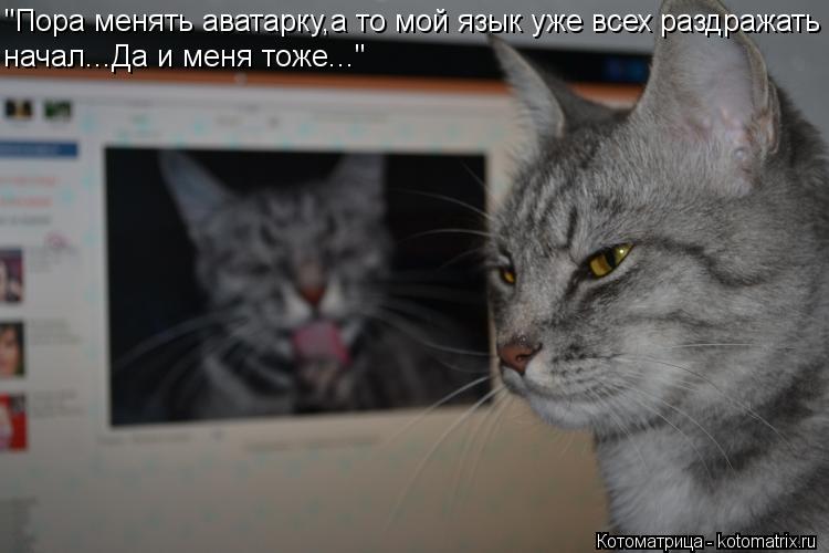 "Пора менять аватарку,а то мой язык уже всех раздражать начал...Да и меня тоже..."... Котоматрица: "Пора менять аватарку,а то мой язык уже всех раздражать начал...Да и меня тоже..."