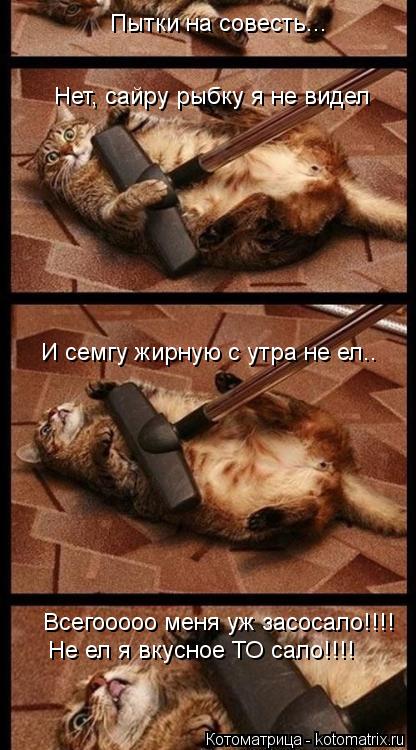 Нет, сайру рыбку я не видел Пытки на совесть... И семгу жирную с утра не ел.. Всегооооо меня уж засос... Котоматрица: Нет, сайру рыбку я не видел Пытки на совесть... И семгу жирную с утра не ел.. Всегооооо меня уж засосало!!!! Не ел я вкусное ТО сало!!!!