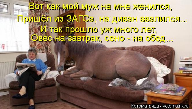 Вот как мой муж на мне женился, Пришёл из ЗАГСа, на диван ввалился... И так прошло уж много лет, Овёс... Котоматрица: Вот как мой муж на мне женился, Пришёл из ЗАГСа, на диван ввалился... И так прошло уж много лет, Овёс на завтрак, сено - на обед...