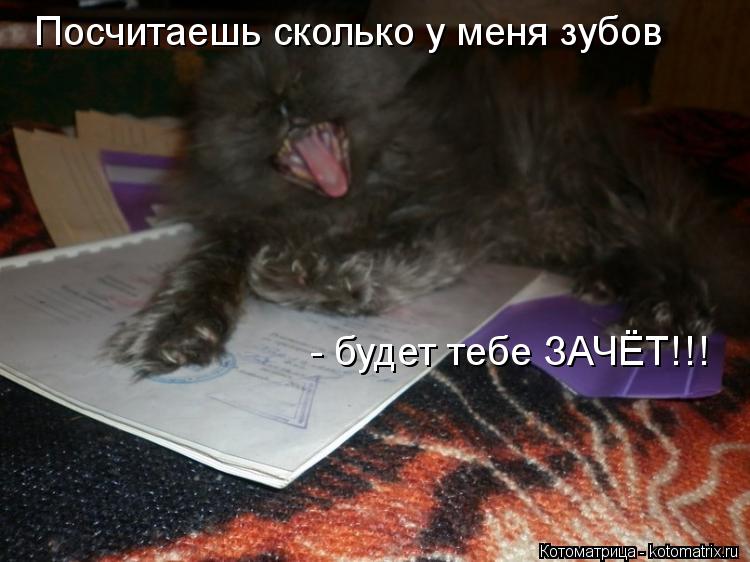 Котоматрица: Посчитаешь сколько у меня зубов - будет тебе ЗАЧЁТ!! Посчитаешь сколько у меня зубов - будет тебе ЗАЧЁТ!!!