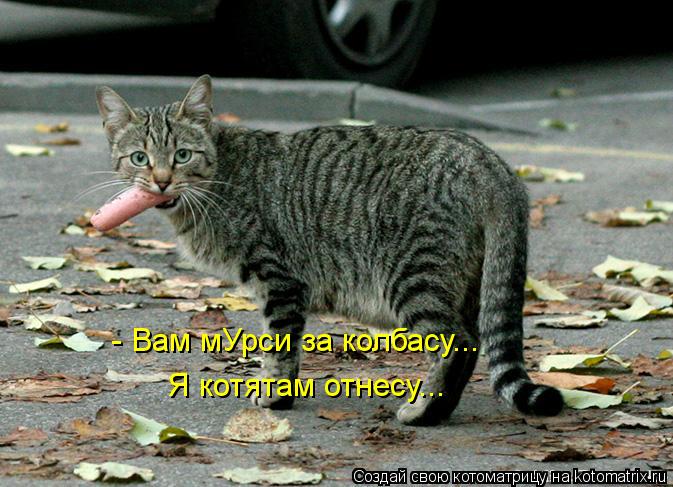 - Вам мУрси за колбасу... Я котятам отнесу...... Котоматрица: - Вам мУрси за колбасу... Я котятам отнесу...