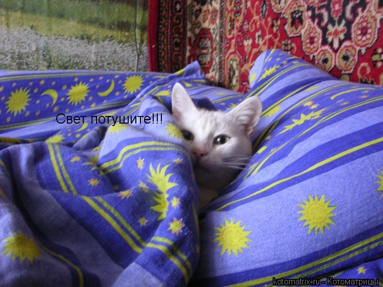 Свет потушите!!!... Котоматрица: Свет потушите!!!