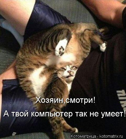 Котоматрица: Хозяин,смотри!  А твой компьютер так не умеет!