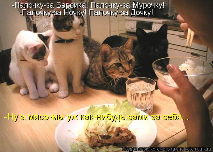 -Палочку-за Барсика! Палочку-за Мурочку! -Палочку-за Ночку! Палочку-за Дочку! -Ну а мясо-мы уж как-н... Котоматрица: -Палочку-за Барсика! Палочку-за Мурочку! -Палочку-за Ночку! Палочку-за Дочку! -Ну а мясо-мы уж как-нибудь сами за себя...