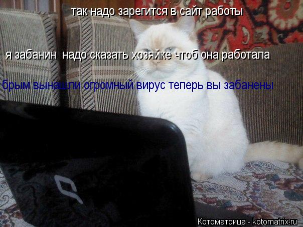 Котоматрица: так надо зарегится в сайт работы брым вынашли огромный вирус теперь вы забанены  я забанин  надо сказать хозяйке чтоб она работала