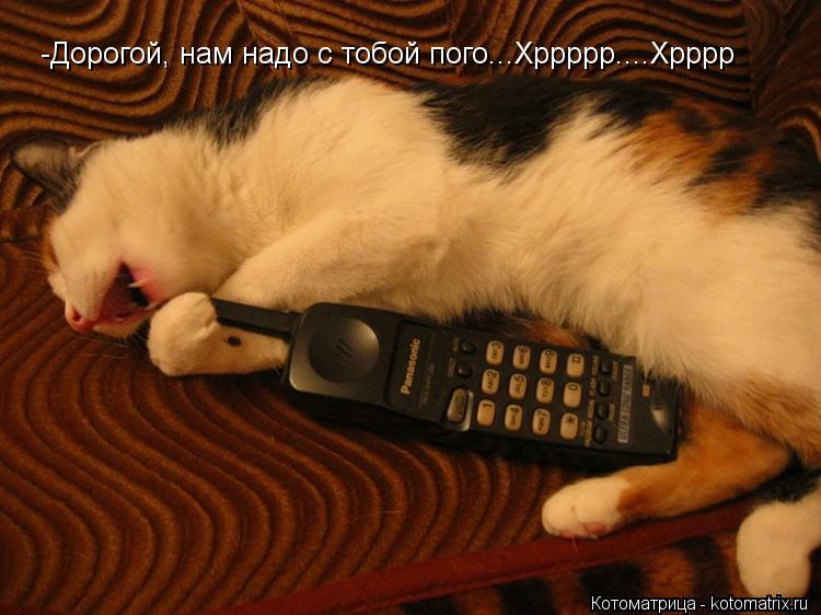 -Дорогой, нам надо с тобой пого...Хррррр....Хрррр... Котоматрица: -Дорогой, нам надо с тобой пого...Хррррр....Хрррр