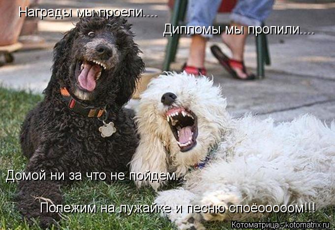 Награды мы проели.... Дипломы мы пропили.... Домой ни за что не пойдем... Полежим на лужайке и песню ... Котоматрица: Награды мы проели.... Дипломы мы пропили.... Домой ни за что не пойдем... Полежим на лужайке и песню споёооооом!!!