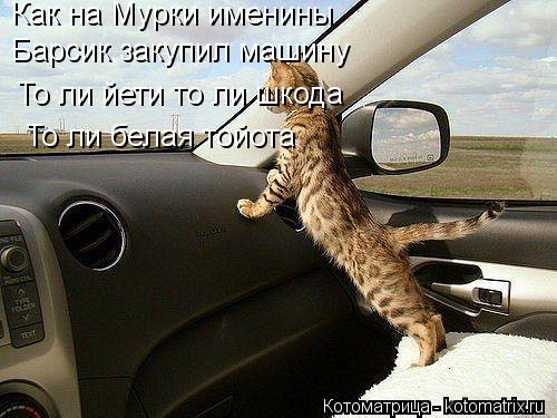 Котоматрица: Барсик закупил машину Как на Мурки именины То ли йети то ли шкода То ли белая тойота