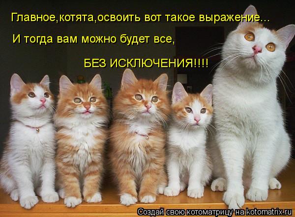 Главное,котята,освоить вот такое выражение... И тогда вам можно будет все, БЕЗ ИСКЛЮЧЕНИЯ!!!!... Котоматрица: Главное,котята,освоить вот такое выражение... И тогда вам можно будет все, БЕЗ ИСКЛЮЧЕНИЯ!!!!