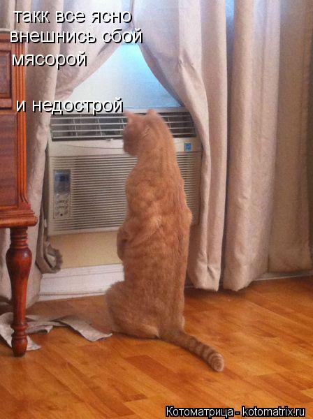 такк все ясно внешнись сбой мясорой и недострой... Котоматрица: такк все ясно внешнись сбой мясорой и недострой
