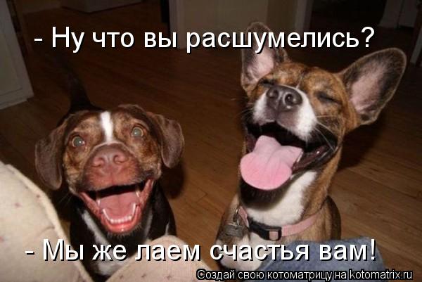 Котоматрица: - Ну что вы расшумелись? - Мы же лаем счастья вам!