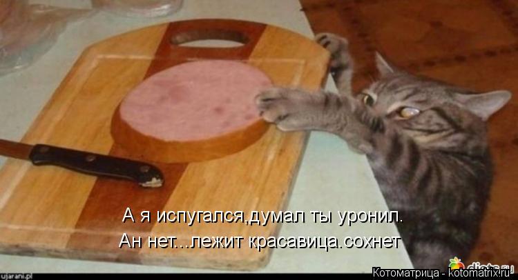 Ан нет...лежит красавица.сохнет А я испугался,думал ты уронил.... Котоматрица: Ан нет...лежит красавица.сохнет А я испугался,думал ты уронил.