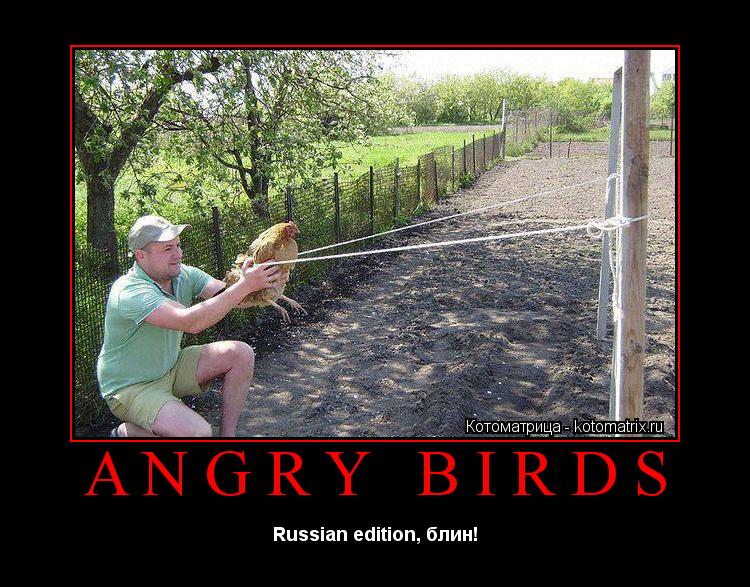 Котоматрица: ANGRY BIRDS Russian edition, блин!