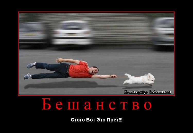 Бешанство Огого Вот Это Прёт!!!... Котоматрица: Бешанство Огого Вот Это Прёт!!!