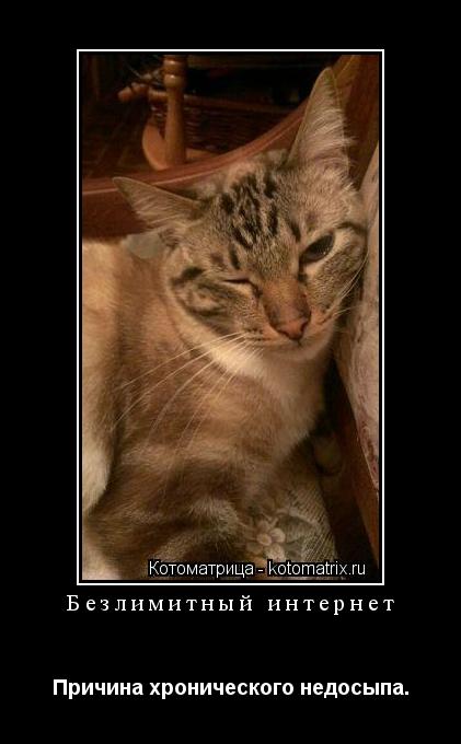 Котоматрица: Безлимитный интернет Причина хронического недосыпа.