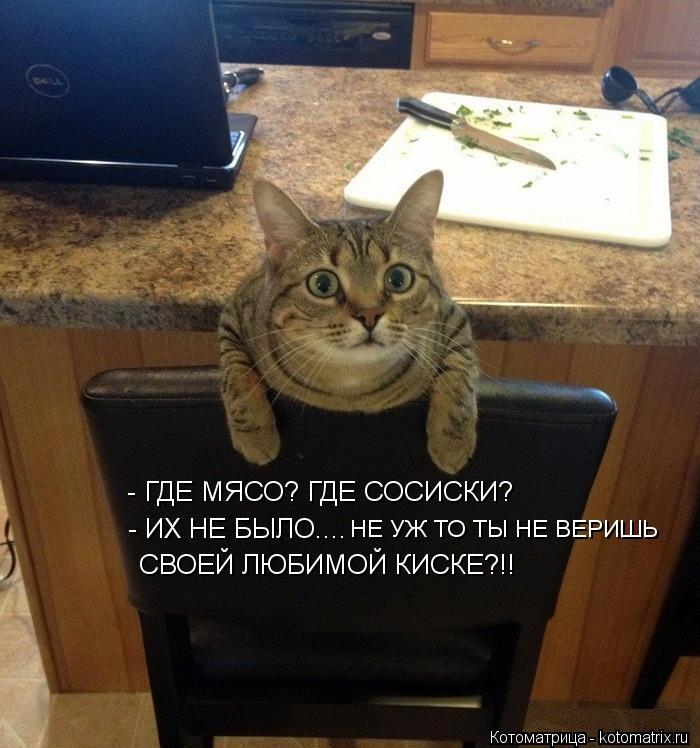 - ГДЕ МЯСО? ГДЕ СОСИСКИ? - ИХ НЕ БЫЛО.... НЕ УЖ ТО ТЫ НЕ ВЕРИШЬ СВОЕЙ ЛЮБИМОЙ КИСКЕ?!!... Котоматрица: - ГДЕ МЯСО? ГДЕ СОСИСКИ? - ИХ НЕ БЫЛО.... НЕ УЖ ТО ТЫ НЕ ВЕРИШЬ СВОЕЙ ЛЮБИМОЙ КИСКЕ?!!
