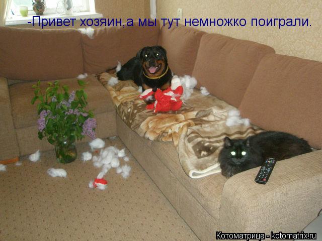 -Привет хозяин,а мы тут немножко поиграли.... Котоматрица: -Привет хозяин,а мы тут немножко поиграли.