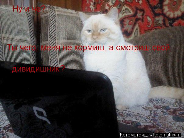 Ну и че? Ты чего, меня не кормиш, а смотриш свой дивидишник ?... Котоматрица: Ну и че? Ты чего, меня не кормиш, а смотриш свой дивидишник ?