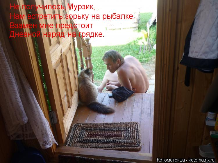 Не получилось,Мурзик, Нам встретить зорьку на рыбалке. Взамен мне предстоит Дневной наряд на грядке.... Котоматрица: Не получилось,Мурзик, Нам встретить зорьку на рыбалке. Взамен мне предстоит Дневной наряд на грядке.