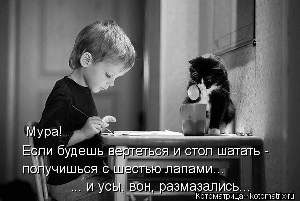 Котоматрица: получишься с шестью лапами... Мура!  Если будешь вертеться и стол шатать -  ... и усы, вон, размазались...