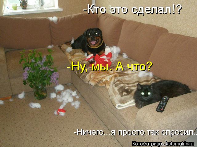 -Кто это сделал!? -Ну, мы. А что? -Ничего...я просто так спросил...... Котоматрица: -Кто это сделал!? -Ну, мы. А что? -Ничего...я просто так спросил...