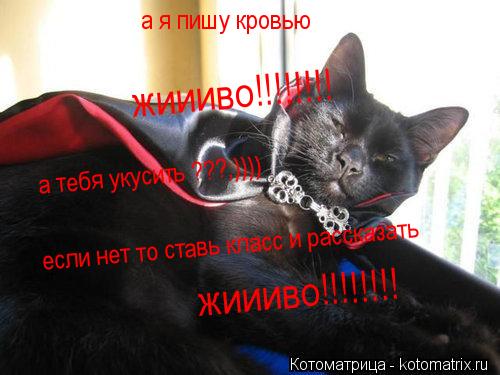 а я пишу кровью а тебя укусить ???;)))) если нет то ставь класс и рассказать жиииво!!!!!!!! жиииво!!!... Котоматрица: а я пишу кровью а тебя укусить ???;)))) если нет то ставь класс и рассказать жиииво!!!!!!!! жиииво!!!!!!!!