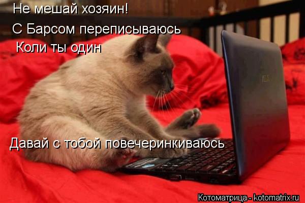 Не мешай хозяин! С Барсом переписываюсь Коли ты один Давай с тобой повечеринкиваюсь... Котоматрица: Не мешай хозяин! С Барсом переписываюсь Коли ты один Давай с тобой повечеринкиваюсь