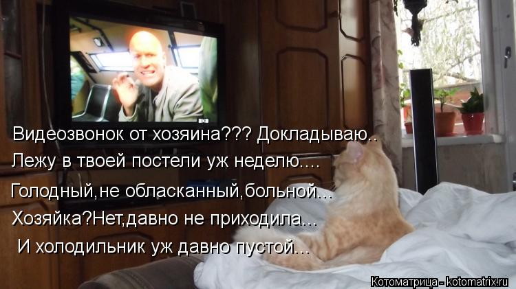 Лежу в твоей постели уж неделю.... Голодный,не обласканный,больной... Видеозвонок от хозяина??? Докла... Котоматрица: Лежу в твоей постели уж неделю.... Голодный,не обласканный,больной... Видеозвонок от хозяина??? Докладываю.. Хозяйка?Нет,давно не приходила... И
