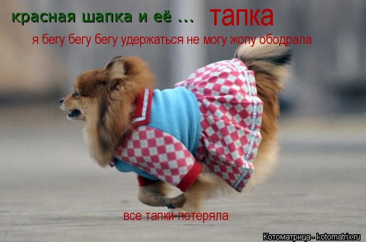 красная шапка и её ... тапка я бегу бегу бегу удержаться не могу жопу ободрала все тапки потеряла... Котоматрица: красная шапка и её ... тапка я бегу бегу бегу удержаться не могу жопу ободрала все тапки потеряла