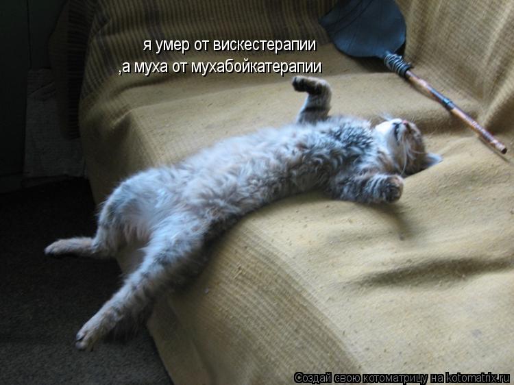 я умер от вискестерапии ,а муха от мухабойкатерапии... Котоматрица: я умер от вискестерапии ,а муха от мухабойкатерапии