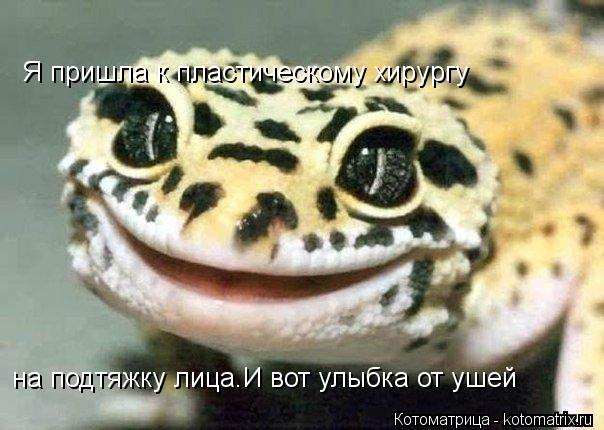 Я пришла к пластическому хирургу на подтяжку лица.И вот улыбка от ушей... Котоматрица: Я пришла к пластическому хирургу на подтяжку лица.И вот улыбка от ушей