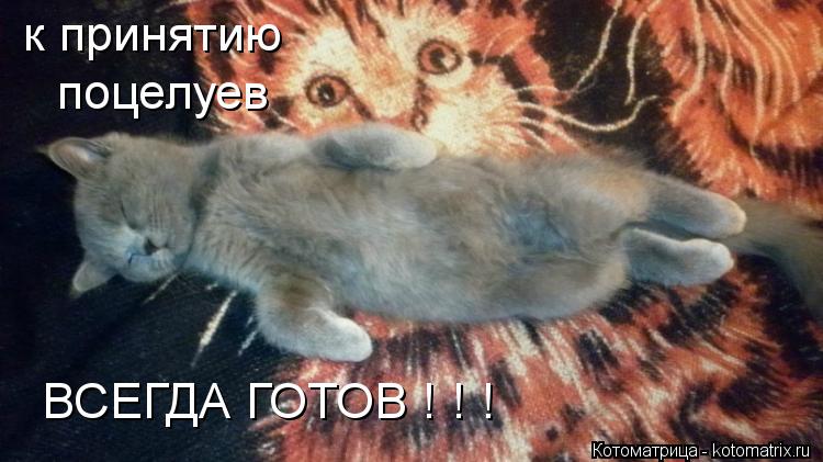 к принятию поцелуев ВСЕГДА ГОТОВ ! ! !... Котоматрица: к принятию поцелуев ВСЕГДА ГОТОВ ! ! !