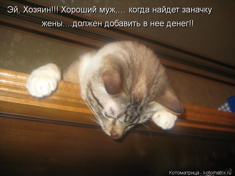 Котоматрица: Эй, Хозяин!!! Хороший муж,… когда найдет заначку жены....должен добавить в нее денег!!