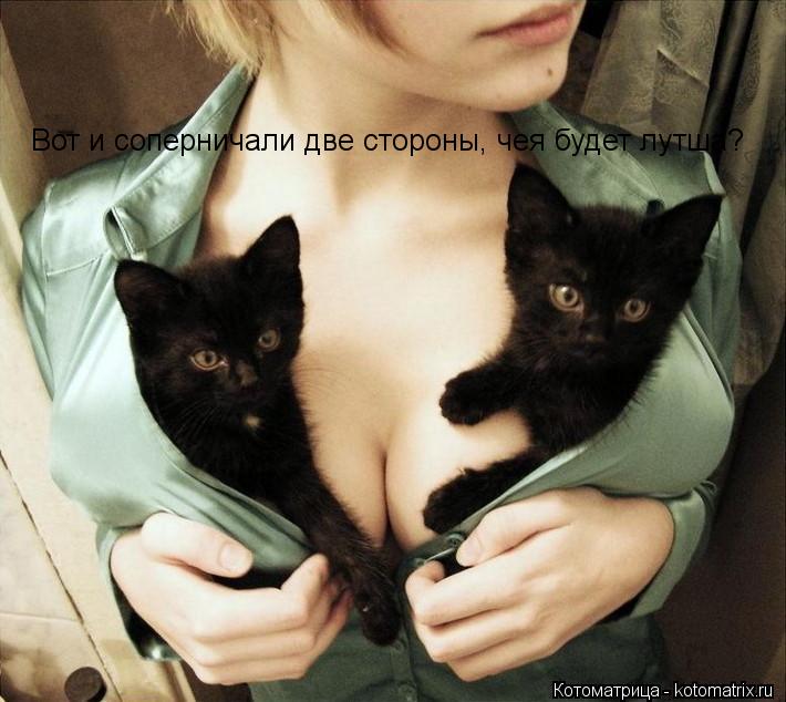 Вот и соперничали две стороны, чея будет лутша?... Котоматрица: Вот и соперничали две стороны, чея будет лутша?