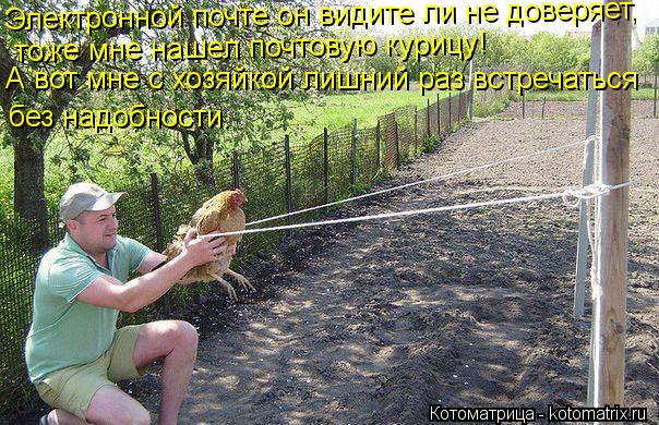 Электронной почте он видите ли не доверяет, тоже мне нашел почтовую курицу! без надобности. А вот мн... Котоматрица: Электронной почте он видите ли не доверяет, тоже мне нашел почтовую курицу! без надобности. А вот мне с хозяйкой лишний раз встречаться