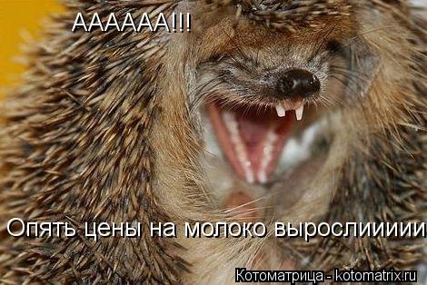 АААААА!!! Опять цены на молоко вырослиииии!!!... Котоматрица: АААААА!!! Опять цены на молоко вырослиииии!!!