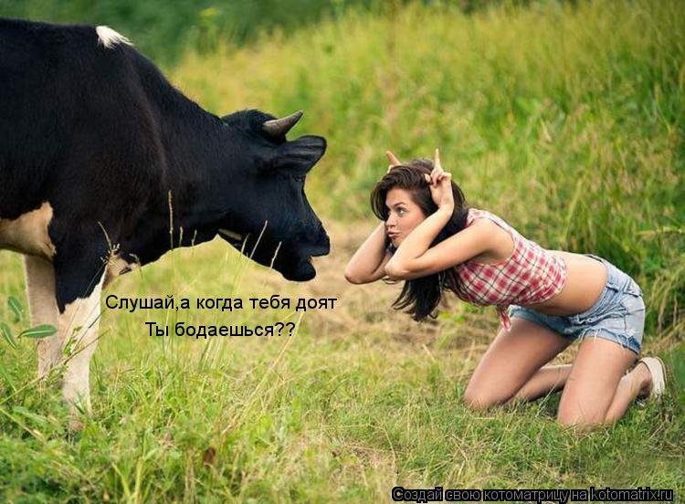 Слушай,а когда тебя доят Ты бодаешься??... Котоматрица: Слушай,а когда тебя доят Ты бодаешься??