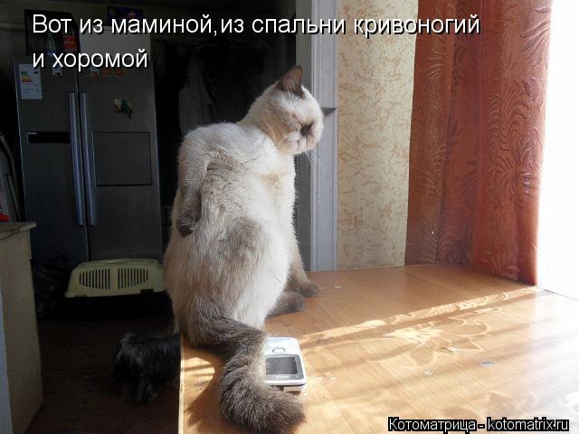 Вот из маминой,из спальни кривоногий и хоромой... Котоматрица: Вот из маминой,из спальни кривоногий и хоромой