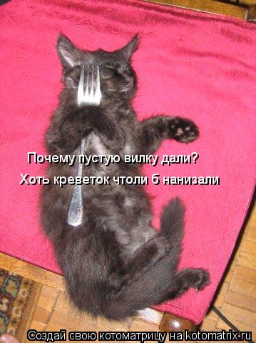 Почему пустую вилку дали? Хоть креветок чтоли б нанизали... Котоматрица: Почему пустую вилку дали? Хоть креветок чтоли б нанизали