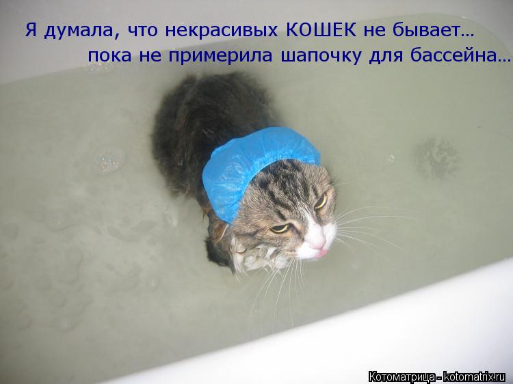 Я думала, что некрасивых КОШЕК не бывает… пока не примерила шапочку для бассейна…... Котоматрица: Я думала, что некрасивых КОШЕК не бывает… пока не примерила шапочку для бассейна…