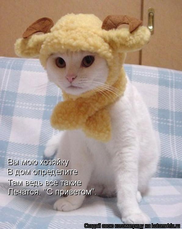 Вы мою хозяйку В дом определите Там ведь все такие Лечатся. "С приветом".... Котоматрица: Вы мою хозяйку В дом определите Там ведь все такие Лечатся. "С приветом".