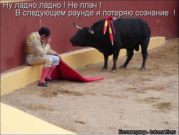Ну ладно,ладно ! Не плач ! В следующем раунде я потеряю сознание !... Котоматрица: Ну ладно,ладно ! Не плач ! В следующем раунде я потеряю сознание !