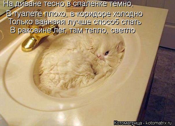На диване тесно,в спаленке темно, В туалете плохо, в коридоре холодно Только ваннаяя лучше способ спа... Котоматрица: На диване тесно,в спаленке темно, В туалете плохо, в коридоре холодно Только ваннаяя лучше способ спать В раковине лег, там тепло, светло