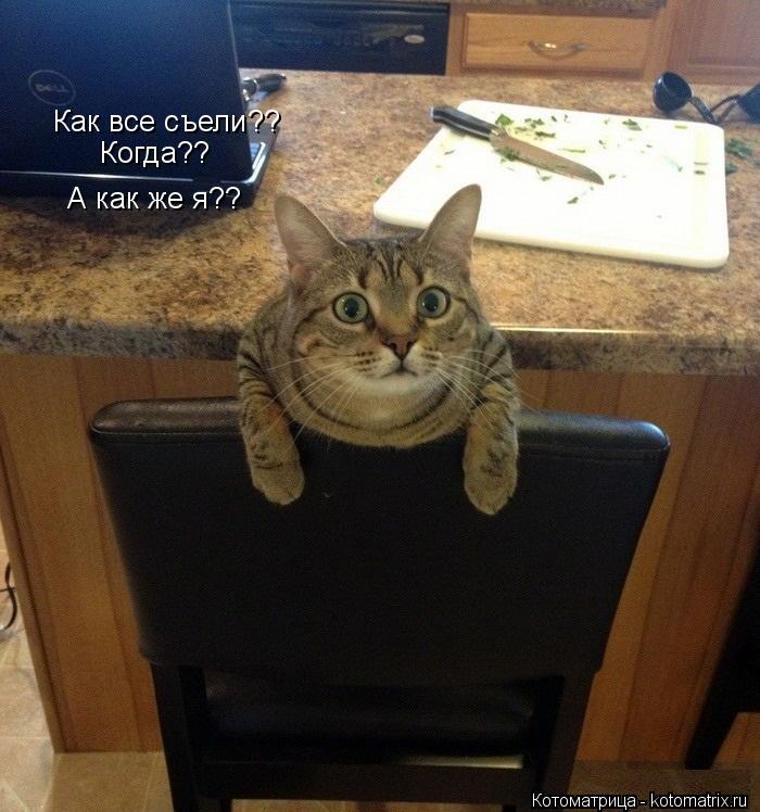 Как все съели ?? Когда?? А как же я??... Котоматрица: Как все съели ?? Когда?? А как же я??