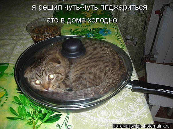я решил чуть-чуть ппджариться ато в доме холодно... Котоматрица: я решил чуть-чуть ппджариться ато в доме холодно