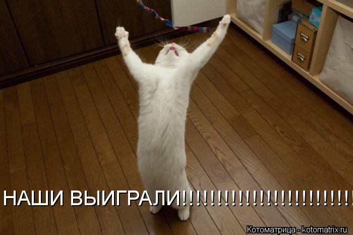 НАШИ ВЫИГРАЛИ!!!!!!!!!!!!!!!!!!!!!!!!!!!!!!!!!!... Котоматрица: НАШИ ВЫИГРАЛИ!!!!!!!!!!!!!!!!!!!!!!!!!!!!!!!!!!