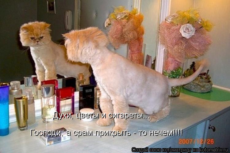 Господи, а срам прикрыть - то нечем!!!! Духи, цветы и сигареты...... Котоматрица: Господи, а срам прикрыть - то нечем!!!! Духи, цветы и сигареты...