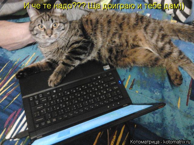 Котоматрица: И че те надо??? Ща доиграю и тебе дам))