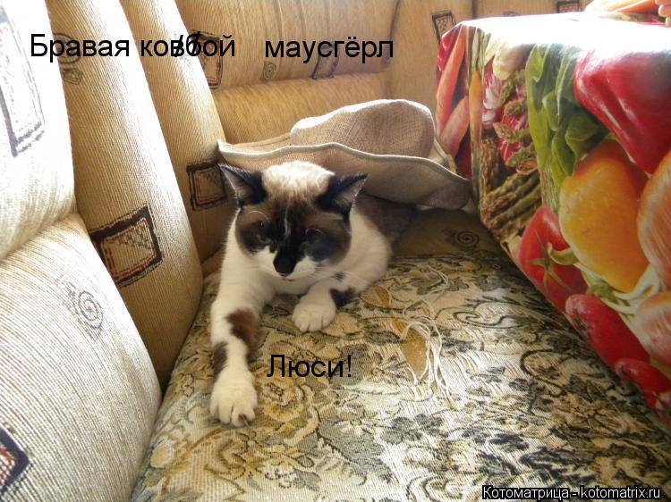 Бравая ковбой / / маусгёрл Люси!... Котоматрица: Бравая ковбой / / маусгёрл Люси!